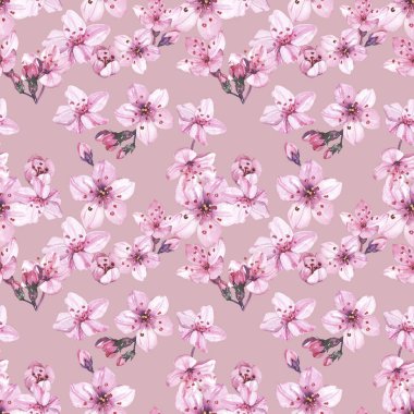 Suluboya elle boyanmış kiraz çiçekleri çizimi kusursuz desen - bahar ambalaj kağıdı, kumaş ve yüzey tasarımı, duvar kağıdı