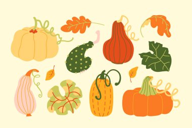 Sonbahar hasadı çeşitli balkabakları ve yapraklar el çizimi sevimli basit illüstrasyon koleksiyonu Çocuk kitapları, kırtasiye ve sosyal medya için modern klip sanatı