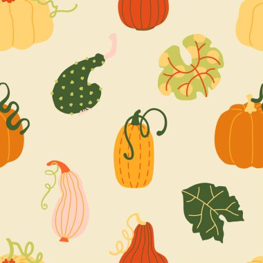 Sonbahar hasadı çeşitli balkabakları ve yapraklar elle çizilmiş basit, pürüzsüz desenler. Çocuk kitapları, kağıt kağıtları ve sosyal medya için modern klip sanatı duvar kağıdı