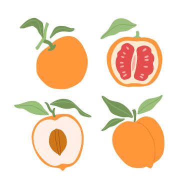 Lezzetli şeftali ve portakallar, yapraklar ve dilimler. Kitaplar, kırtasiyeler, afişler ve sosyal medya için modern el portakal meyveleri kırpma sanatı