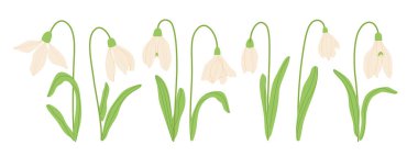 Bahar çayırı çiçek vektör illüstrasyon koleksiyonu. Modern el, kitap, kırtasiye, pankart ve sosyal medya için hazırlanmış yaprak klipsli beyaz kar damlaları çizdi