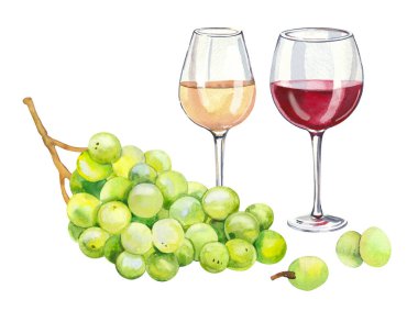 Suluboya el, şarap kadehi, üzüm, meyve ve yaprak boyadı. Suluboya el çizimi DIY çizimi beyaz arkaplan, aromaterapi, temel yağlar, şarap imalathanesi