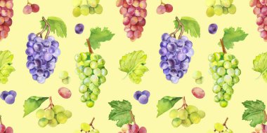 Suluboya el, şarap üzümlerini meyve ve yaprakları boyadı. Suluboya el aromaterapi için kusursuz desen çizdi, temel yağlar, şaraphane arkaplanları, duvar kağıtları, dokular