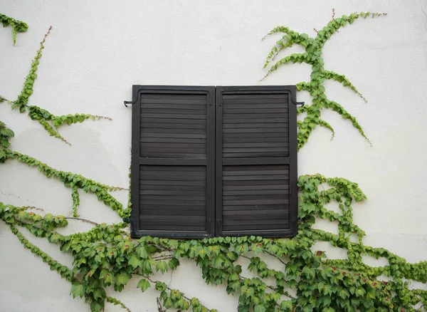 Fenêtre Avec Volets Bois Sur Fond Mur Blanc Avec Une — Photo