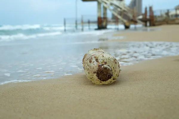 Orilla Del Mar Mediterráneo Arena Playa Encuentra Una Botella Plástico Fotos De Stock