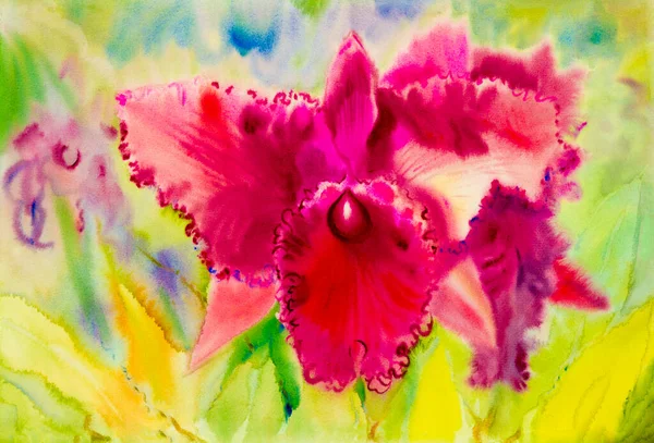 Aquarelle Abstraite Peinture Originale Pourpre Couleur Rose Fleur Orchidée Fond — Photo