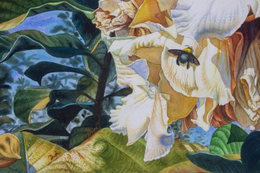 Yakın plan beyaz çiçekler, böcekler, karıncalar. Suluboya manzara resimleri. Orijinal renkler. Beyaz Herald trompet çiçekleri ve mavi gökyüzü arka planında yeşil yaprak..