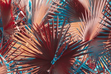 Alçak tuş avuç içi koyu renk arkaplan bırakır.