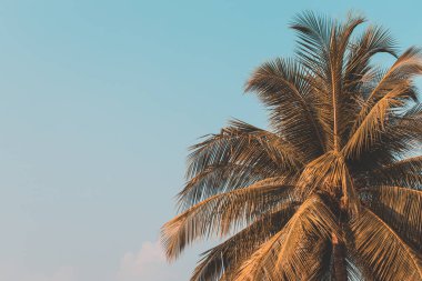 Alçak tuş avuç içi koyu renk arkaplan bırakır.