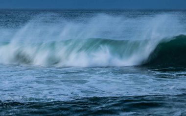 An afternoon on the Cantabrian coast with landscapes, fauna and waves!