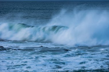 An afternoon on the Cantabrian coast with landscapes, fauna and waves!