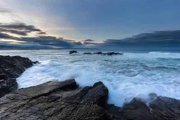 An afternoon on the Cantabrian coast with landscapes, fauna and waves!