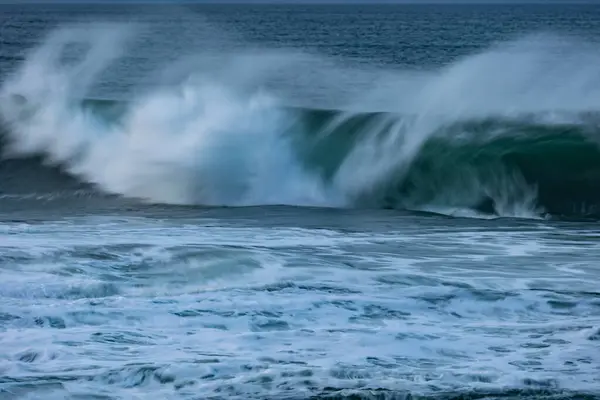An afternoon on the Cantabrian coast with landscapes, fauna and waves!