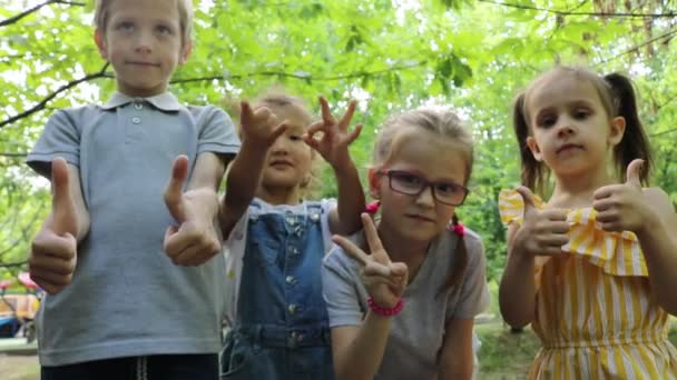 Ομάδα Παιδιών Στο Πάρκο Κάνει Χειρονομίες Δάχτυλα — Αρχείο Βίντεο