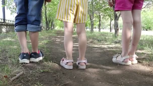 Grupp Barn Promenader Parken Bottenvy — Stockvideo