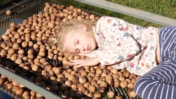 Child Resting Nuts Dried Sun — Stockvideo
