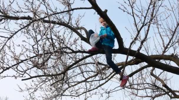 Dziewczyna Wystrzeliła Spadochron Domowej Roboty Który Utknął Gałęziach Drzewa — Wideo stockowe