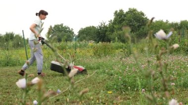A girl cuts the grass in the vegetable garden with an electric lawnmower.