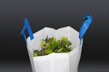 Siyah arkaplanlı güzel Non Woven market poşeti