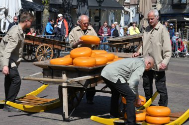 Alkmaar, Hollanda - 22 Nisan 2022: Bu tüccar pazarının Alkmaar, Hollanda 'daki geleneksel Peynir Pazarı' nda nasıl işlediğinin gösterimi sırasında kimliği belirsiz kişiler