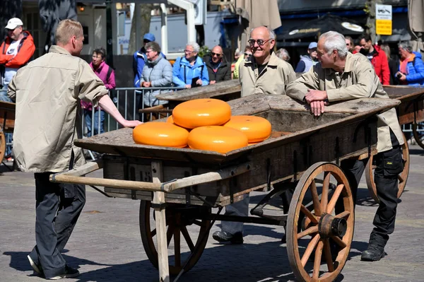 2022年4月22日 荷兰阿尔卡玛 Alkmaar 在荷兰阿尔卡玛 Alkmaar 的传统奶酪市场 Cheese Market 一些身份不明的人在展示这个商人市场是如何运作的 — 图库照片