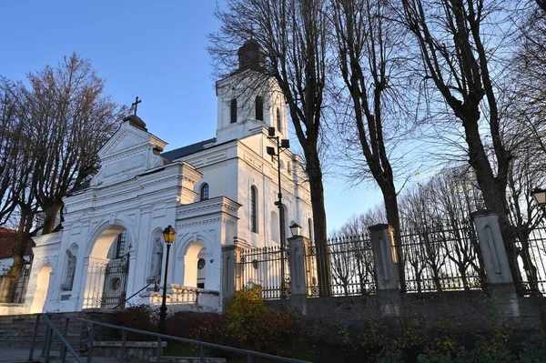 Telsiai Litvanya Ekim 2022 Padualı Aziz Anthony Katedrali Roma Katolik — Stok fotoğraf