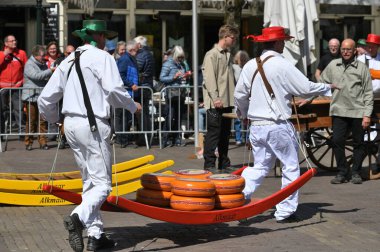 Alkmaar, Hollanda - 22 Nisan 2022: Bu tüccar pazarının Alkmaar, Hollanda 'daki geleneksel Peynir Pazarı' nda nasıl işlediğinin gösterimi sırasında kimliği belirsiz kişiler