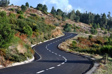 Winding mountain road through the forests of Madeira island