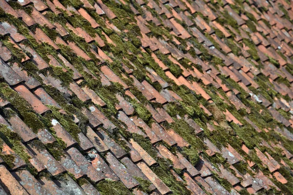 Roof of old country house from weathered aged clay tiles closeup, Old cracked tiled roof
