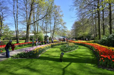 Keukenhof, Hollanda - 20 Nisan 2022: Çiçek bahçesi Keukenhof 'ta çiçek açan renkli laleler. Lisse, Hollanda, Hollanda 'daki popüler turizm sitesi
