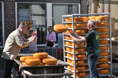 Alkmaar, Hollanda - 22 Nisan 2022: Bu tüccar pazarının Alkmaar, Hollanda 'daki geleneksel Peynir Pazarı' nda nasıl işlediğinin gösterimi sırasında kimliği belirsiz kişiler