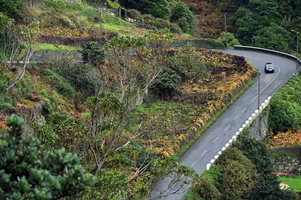 Winding Mountain Road Forests Madeira Island — 스톡 사진