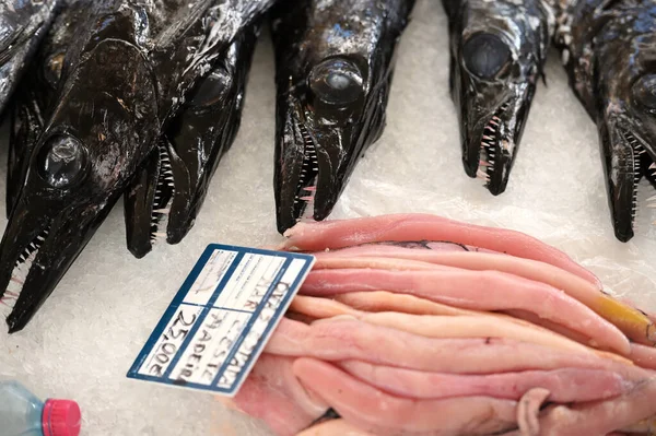 Çiftçi Pazarı Madeira Nın Balık Bölümünde Satılık Kılıç Balığı Başları — Stok fotoğraf