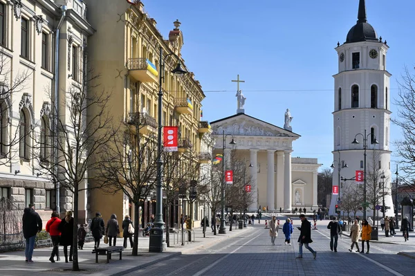 Wilno Litwa Marca 2023 Aleja Gedimino Główna Ulica Centrum Wilna — Zdjęcie stockowe