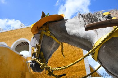 Izamal, Meksika - 19 Temmuz 2023: Izmal şehrinin eski Meksika caddesindeki at arabası