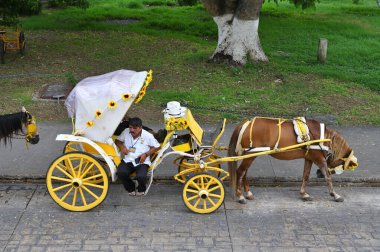 Izamal, Meksika - 19 Temmuz 2023: Izmal şehrinin eski Meksika caddesindeki at arabası