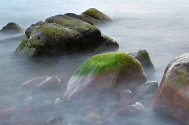 Baltık denizi, soğuk deniz suyu. Taşlarla ilgili dalgalar, su çimenli taşlar. Kıyı taşları