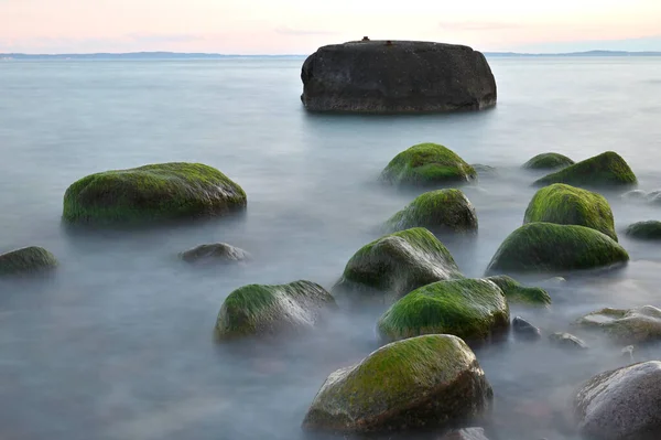 Baltic sea, cold sea water. Waves about stones, Stones with water grass. Coastal stones