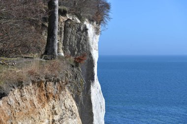 Rugen Adası, Almanya 'daki Jasmund Ulusal Parkı' nda ünlü beyaz kayalıklar