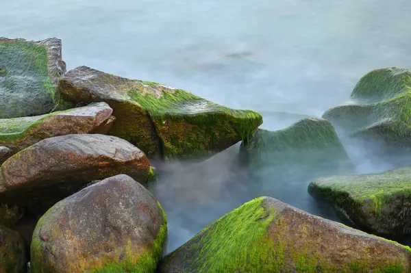 Baltic sea, cold sea water. Waves about stones, Stones with water grass. Coastal stones