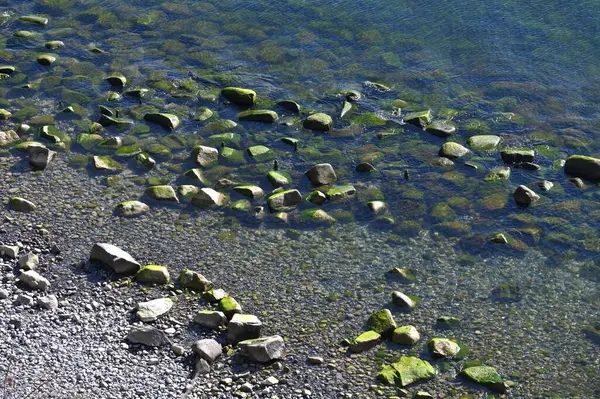 Baltic sea, cold sea water. Waves about stones, Stones with water grass. Coastal stones