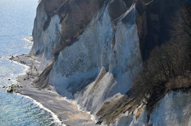 Rugen Adası, Almanya 'daki Jasmund Ulusal Parkı' nda ünlü beyaz kayalıklar