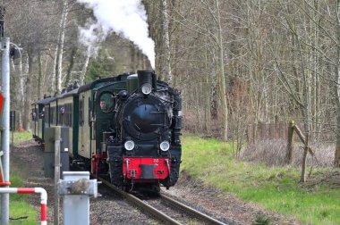 Rugen, Almanya - 13 Nisan 2023: Rugen Adası, Almanya 'da dar ölçülü bir demiryolu treni