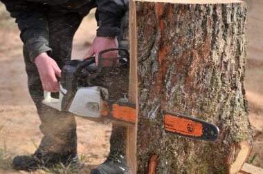 Kaunas, Litvanya - 21 Mart 2024 'te Kaunas' ta Stihl elektrikli testere. Stihl, Alman elektrikli testere ve diğer el teçhizatı üreticisi.