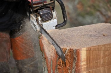 Elektrikli testereyle odun kesen adam.