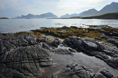 Fiyort kıyısındaki taş ve kayalar, Lofoten adaları. Kuzey İskandinav manzarası.