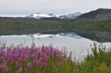 İsveç 'teki Abisko Ulusal Parkı' nda güzel sakin bir göl yansıması.