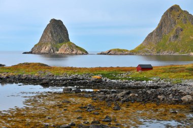 Lofoten adalarındaki fiyort kıyısındaki kayalıklar ve tepeler. Kuzey İskandinav manzarası