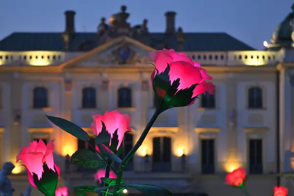 stock image Bialystok, Poland, June 20, 2024: Evening, Branicki Palace park (Polish: Palac Branickich) is a historical landmark in Bialystok, Poland.