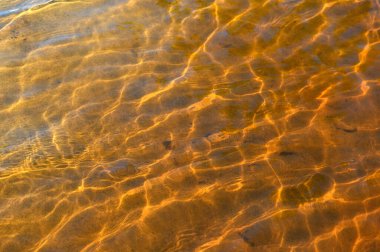 Havuzda güneş yansımalı su dalgaları, berrak su